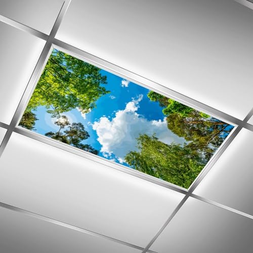 Fluorescent Light Cover for Classroom - 2 Pcs Sky Trees Magnetic Fluorescent Light Covers, Ceiling Light Covers Shade Panel Coverings for Office Classroom Home Drop Ceiling, 4 X 2 Feet - color: Color-14