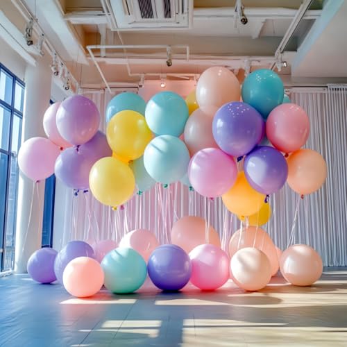 100 Pack 18 inch Pastel Balloons 10 Kinds Colors Colorful Party Balloon Bulk for Various Party Events Decorations - color: Multi Color Pastel, size: 18 Inch