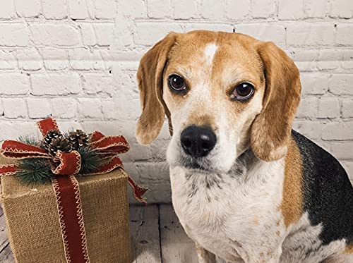 HUAYI White Brick Wall with Gray Wooden Floor Photography Backdrop Vinyl Background for Pictures D-2504 (5x10ft(CottonPolyester)) - size: 5x10ft-CottonPoly