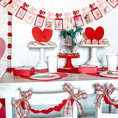 Valentine’s Day 12 Months Photo Banner Heart Theme Garland Pink Red Valentine's Day 1st Birthday Party Newborn First Year Decor