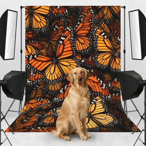 Orange Monarch Butterflies Backdrop Background for Photography 5x7ft Photobooth Professional Photo Backdrop Curtains Video Photography Studio Photo Backgrounds Banner Booth Background Screen Parties - color: Heaps Of Orange Monarch Butterflies
