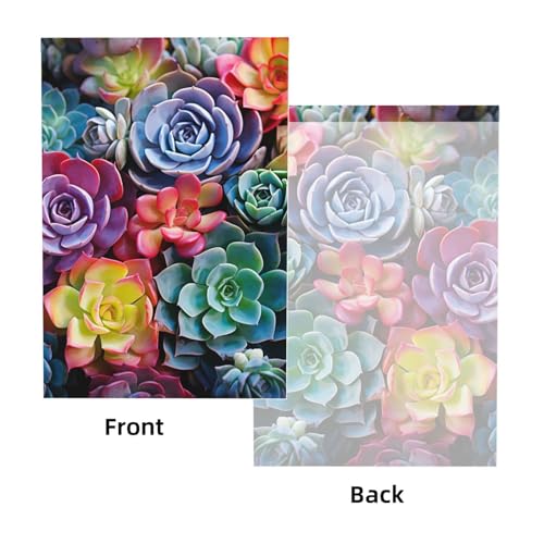 Colorful Succulent Backdrop Background for Photography 5x7ft Photobooth Professional Photo Backdrop Curtains Video Photography Studio Photo Backgrounds Banner Booth Background Screen Parties - color: Colorful Succulent