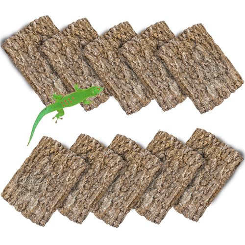 Hamiledyi Cork Terrarium Background 11.8x7.9in 10PCS Natural Reptile Cork Bark Flats Terrarium Board Bearded Dragon Climbing Wall Mat Tank Decor for Lizard Chamelon Snake Turtle Spider Crested Gecko - size: 10PCS-11.8x7.9in