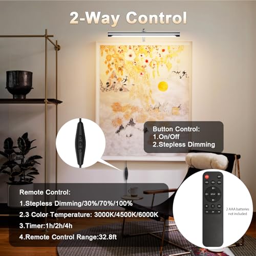 Picture Lights for Paintings Plug in, 16" Adjustable LED Picture Light Art Light with Timer, Remote Control Gallery Painting Wall Light for Picture Display Frame Dartboard Art Work (Nickel) - color: Nickel, size: 16 inch