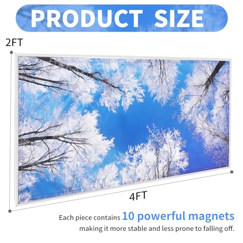Torixqi 2pcs Fluorescent Light Covers - Light Covers for Ceiling Lights Classroom, Magnetic Light Filters for Office, Hospitals, Home 4 x 2 Feet (winter) - color: winter