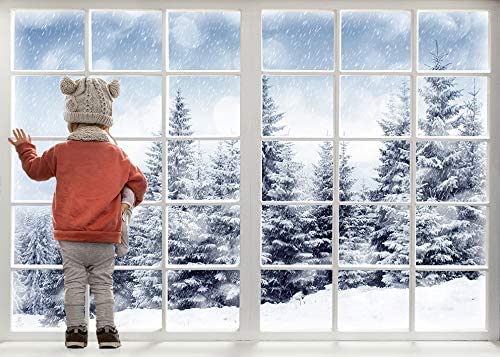 10x6.5ft Winter Forest Window Backdrop - Baby Newborn Winter Wonderland Backdrop for Photography Props - Christmas