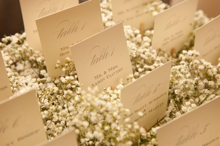4700+ Mini Dried Babys Breath Flowers, 90+Pcs Ivory White Baby Breath Flower Bulk, Dried Flowers for Crafts, Wedding Decor Boho Invitation, Resin Candle Making, Dry Babies Flowers, Rustic Gypsophila