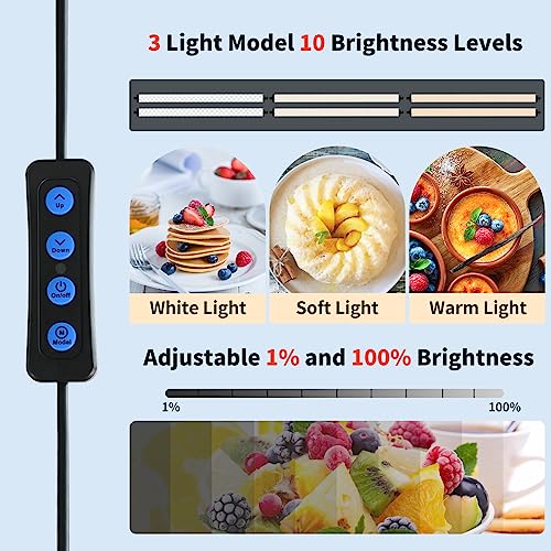 32"x32" Photo Studio Light Box for Photography, 3 Color 10-Level Adjustable Photo Box with Soft Light Cloth 32 inch Professional Photo Background Shooting Tents White Light, Soft Light, Warm Light - size: 32x32 in (3 Color Temp)