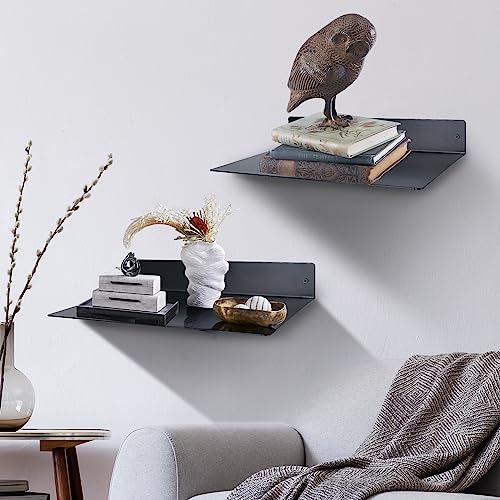 RealPlus Metal Floating Shelf Wall Mounted (12 inch x 8 inch) Heavy Duty Steel Display Shelves, Black - color: Black (Pack of 1), size: 12"W x 8"D