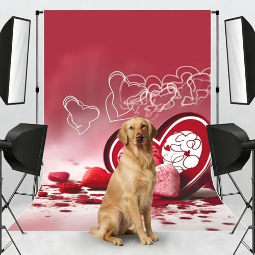 Valentine Day Backdrop Background for Photography 5x7ft Photobooth Professional Photo Backdrop Curtains Video Photography Studio Photo Backgrounds Banner Booth Background Screen Parties