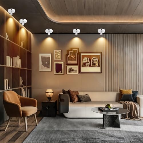 Cordless Spotlight Battery Powered, Plant Spot Light Indoor, Rechargeable Picture Lights with Remote, LED Accent Lighting, Dimmable Uplight for Tree Dartboard Decor Painting Art Photo - color: chargeable White