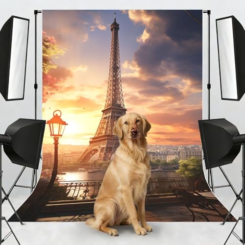 EiffelTower Backdrop Background for Photography 5x7ft Photobooth Professional Photo Backdrop Curtains Video Photography Studio Photo Backgrounds Banner Booth Background Screen Parties - color: EiffelTower