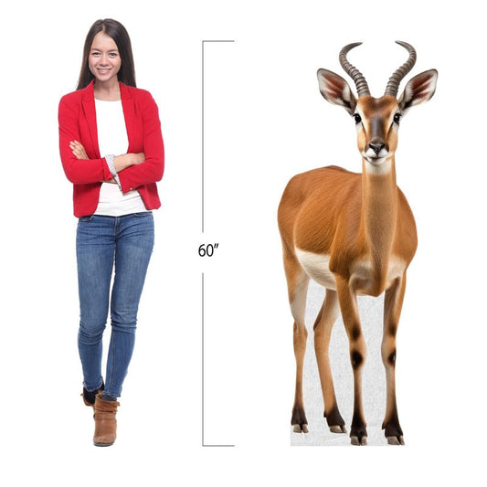 Deer - Life Size Cardboard Cutout Standup People with Support Standee | Animals - - color: Deer