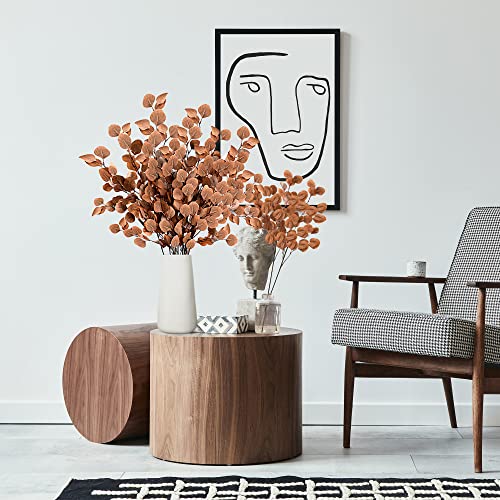 Sggvecsy 6 Pcs Fall Artificial Eucalyptus Stems Long Silver Dollar Leaves Fake Silk Eucalyptus Leaf Branches for Indoor Home Autumn Festival Thanksgiving Decor(Dark Brown) - color: Dark Brown