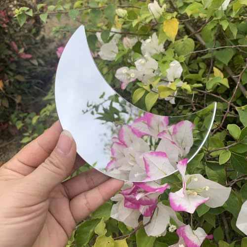 LTSRLL PMMA Mirror Tiles Photography Props Background Reflective Display Sheet Home Decor Vanity Mirror(Flower) - color: Flower