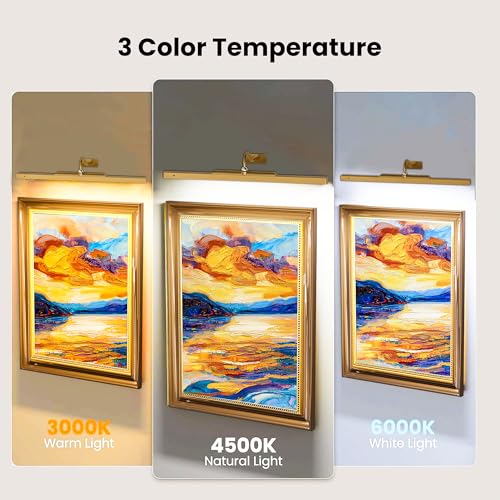 24 Inch Picture Light for Wall - Battery Operated Wireless Wall Sconce with Remote & Timer for Artwork, Portrait, Photo & Frame (Antque Gold) - color: Antique Gold, size: 24IN-1pack