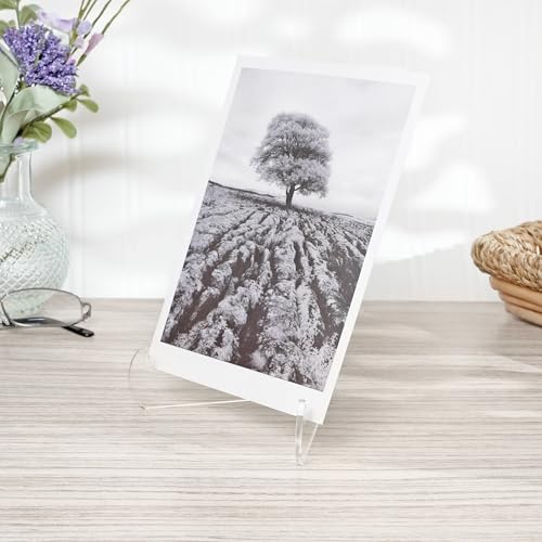 Plymor Clear Acrylic 60-Degree Angle Easel With Shallow Support Ledges, 6" H x 4.5" W x 3.5" D (2 Pack) - size: 6" X 4.5" X 3.5"
