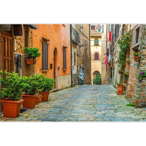 Laeacco 12x8ft Italy Old Town Small Narrow Alley Street Landscape Backdrop European Building Green Vine Italian Style Backdrop Travel Theme Birthday Party Photo Studio Prop Festival Room Decoration - size: 12x8ft
