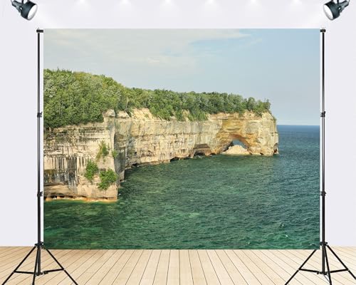 Trykid 6x4ft Rustic Wood Plank Backdrop Vintage Texture Neutral Tone Photography Background Home Decor Simple Shoot Tapestry Party Decoration Photo Studio Prop Fabric - size: 6x4ft