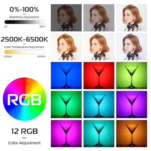 ULANZI VL66 RGB Adjustable Rechargeable 2500-6500K - Mini Video Portable Light on Camera, 2000mAh CRI95+ Dimmable, Ultra Bright Photo and Video Lighting, LED Fill Lamp for DSLR Camcorder Action Camera - color: VL66 RGB