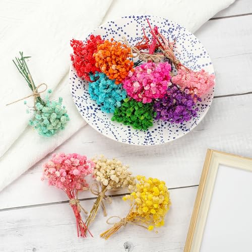 PATIKIL Mini Dried Flower Bouquet, 10 Pcs Baby's Breath Natural Wildflower with Stem Decor Boho Floral Plant Flower for Crafts DIY Photo Props Gift Wedding Decor, Yellow - color: Yellow