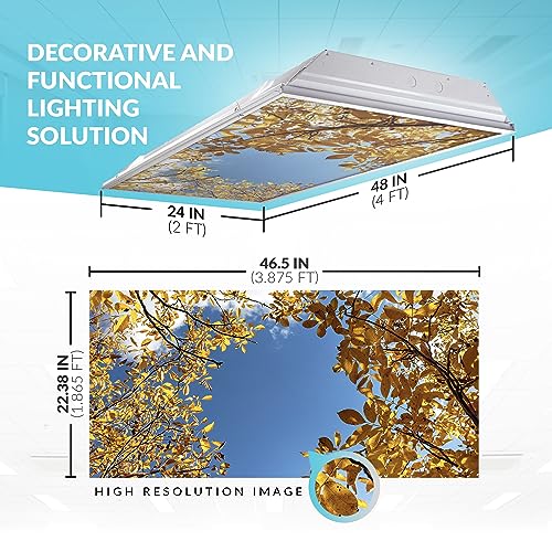 OCTO LIGHTS Tree Fluorescent Light Covers 2x4 Fixtures (22.38" x 46.5") Ceiling Light Cover for Classroom and Office, Decorative Light Covers for Ceiling Lights, Office Light Covers - (Pack of 1) - color: Autumn Yellow, size: 1pk