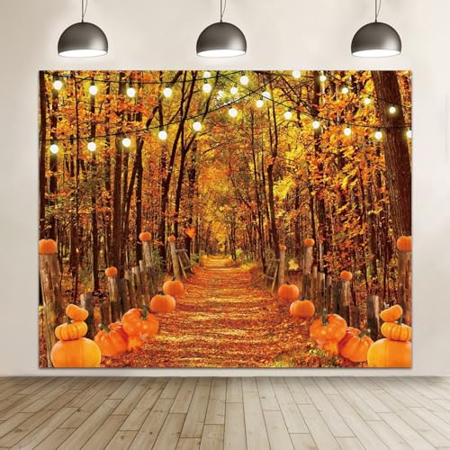 Fall Thanksgiving Backdrop for Photography 10x8ft Autumn Forest Pumpkin Path Maple Leaves Photo Backdrop Farm Harvest Thanksgiving Party Family Friendsgiving Decor Kids Adult Portrait Photo Props