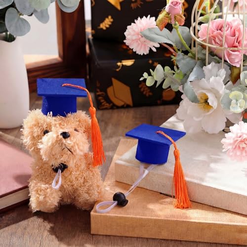Eccliy 2 Pcs Pet Graduation Caps Mini Bachelor Hats with Tassel for Small Animal Guinea Pigs Hedgehog Bird Turtles Hamster Photo Props Graduation Festival Holiday Party Accessory(Blue Orange) - color: Blue Orange