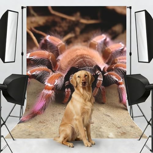 Large Mexican Pink Tarantula Backdrop Background for Photography 5x7ft Photobooth Professional Photo Backdrop Curtains Video Photography Studio Photo Backgrounds Banner Booth Background Screen Parties - color: Large Mexican Pink Tarantula