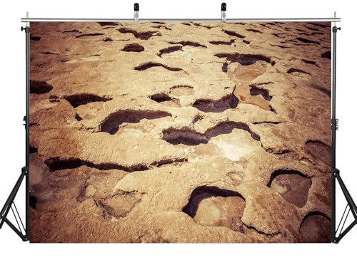 15x8ft Fabric Eroded Rock Texture Backdrop Rustic Coastal Stone Surface Photography Background for Nature Themed Party Decor Home Wall Hanging Tapestry Photo Props - size: 15X8ft