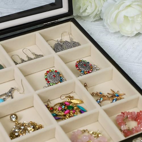 Stratalife Jewelry Tray 24 Grid Earring Organizer with Clear Lid Jewelry Holder Organizer Jewelry Organizer Box Jewelry Storage Crystal Holder For Stones Display (Beige Black) - color: Beige-Black, size: 24 Grid