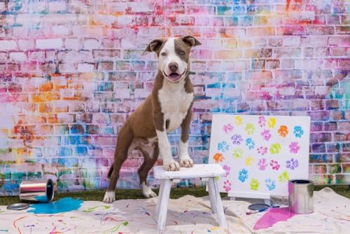 10x8ft Colorful Brick Wall Backdrop Colorful Graffiti Brick Backdrop for Photography Hip Hop Disco Brick Wall Background for Birthday Party Banner Adults Kids Portraits Photoshoot Props - size: 10x8FT