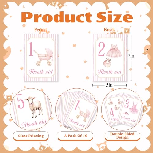Baby Milestone Cards, 10pcs Double Sided Newborn Photo Prop, Baby Girl First Holiday, First Year Monthly Milestone Cards, Pink Pregnancy Announcement Ideas Decor Supplies(01) - style: Pink