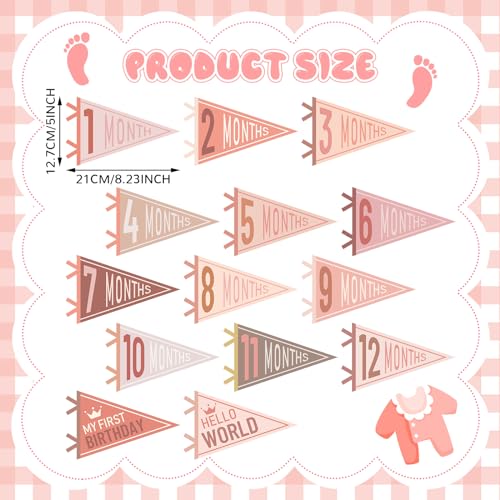 VitalCozy 14 Pcs Baby Milestone Pennant Signs Monthly Milestone Banner Flags Pennant Triangle Banner Age Flag Signs for Boy Girl Newborn Birthday Party Decor(Vivid Colors) - color: Vivid Colors