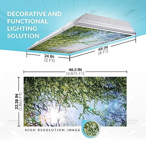 OCTO LIGHTS Tree Fluorescent Light Covers 2x4 Fixtures (22.38" x 46.5") Ceiling Light Cover for Classroom and Office, Decorative Light Covers for Ceiling Lights, Office Light Covers - (Pack of 10) - color: Evergreen Ash Tree, size: 10pk