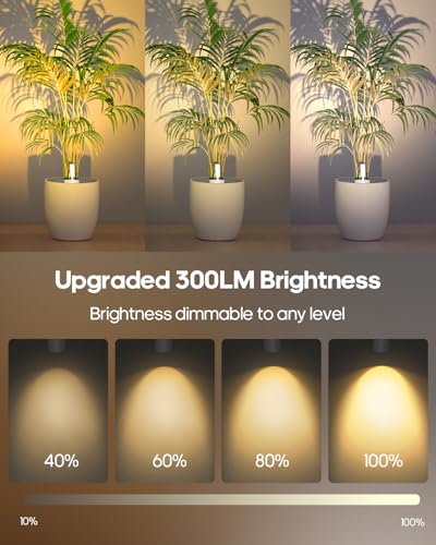 GOODEA Spotlights Indoor with Remote, 3000mAh Rechargeable Battery Plant Spotlight Indoor, Wireless Uplights with 3 Colors & Dimmable, Picture Light for Painting, Accent Lighting(4 Pack, White) - color: White