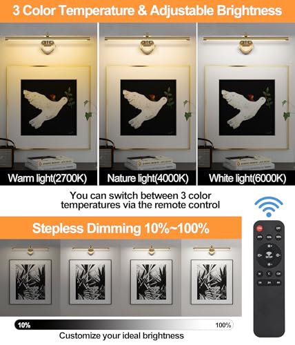 Picture Light for Wall, Dimmable Battery Operated Art Light, Picture Frame Light with Remote & Timer, Cordless Wall Sconce with 3 Colors Temperature for Pantings, Photo Gallery(Brass, 23.6inch) - color: Brass, size: 23.6inch