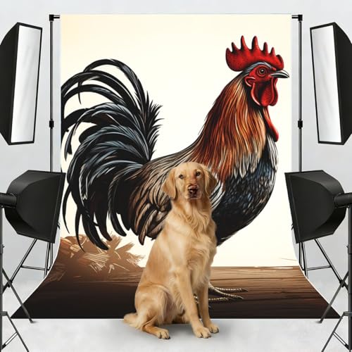 Rooster Backdrop Background for Photography 5x7ft Photobooth Professional Photo Backdrop Curtains Video Photography Studio Photo Backgrounds Banner Booth Background Screen Parties - color: Rooster