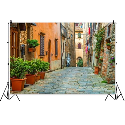 Laeacco 12x8ft Italy Old Town Small Narrow Alley Street Landscape Backdrop European Building Green Vine Italian Style Backdrop Travel Theme Birthday Party Photo Studio Prop Festival Room Decoration - size: 12x8ft