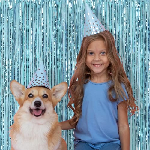5 Pack Blue Fringe Backdrop 3.2ft x 8.2ft Foil Curtain Tinsel Foil Fringe Curtains Photo Booth Props for Mermaid Birthday Under The Sea Party Decorations Teal Blue Tinsel Backdrop Streamers (Blue) - color: Blue