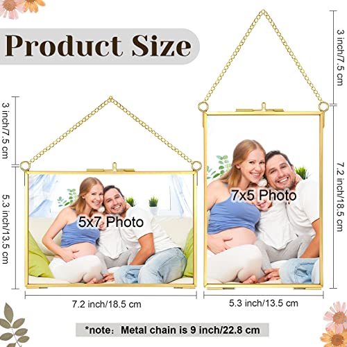 Treela 6 Pieces Pressed Flower Frames Brass Double Glass 5 x 7 Inch Wedding Gold Floating Hanging Photo Clear Horizontal and Vertical Frames with Chain for Gallery Pictures Vintage Artwork Display - color: Gold, Transparent, size: 5 x 7 Inch