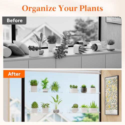 Lifewit Window Plant Floating Shelves 14.6x3.6, 2 Pack Acrylic Suction Cup Shelf, Window Sill Extender for Indoor Succulent Plants, Micro Greens, Seed Starter Pots, Herb Planters 37 x 9 cm/14.6x3.6