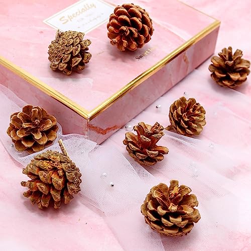 166Pcs Fall Thanksgiving Simulated Pumpkin, Maple Leaf, Pine nut, Autumn Decoration, Halloween Decoration, Pumpkin Model, Vegetable Cabinet Display, Photography, Early Education Props