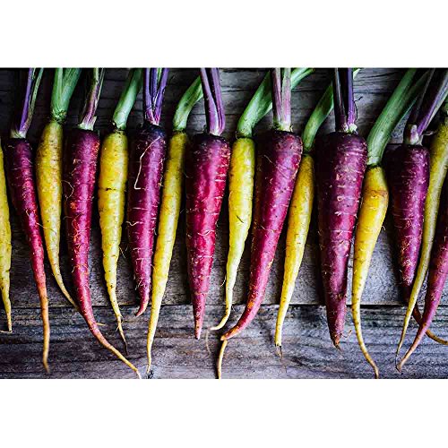 wall26 - Colorful Carrots - Canvas Art Wall Decor - 66x96 inches - color: Artwork - 21, size: 66"x96"