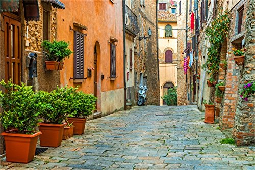 Laeacco 7x5FT Vinyl Backdrop Photography Background Italy Old Town Small Narrow Alley Street Landscape European Building Green Vine Children Adults Travel Theme Backdrop Photo Studio Props - size: 7x5ft