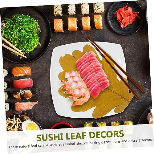 20pcs Sushi Tray Leaf Decor Natural Baking Leaves for Seafood Display Sashimi and Sushi Serving Plates Elegant Japanese Cuisine Presentation for Food Photography