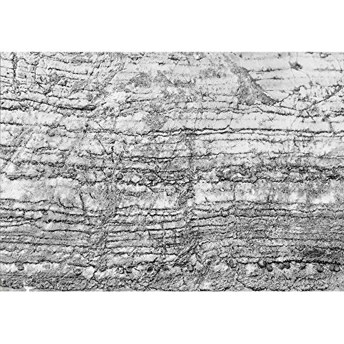 wall26 - Black and White Cracked Stone Pattern for The Best Texture and Design Artwork - Removable Wall Mural | Self-Adhesive Large Wallpaper - 100x144 inches - color: Artwork - 06, size: 100"x144"