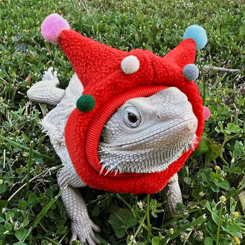 Reptile Outdoor Walking Costume - Adjustable Funny Horn Ball Hat & Scarf Set, Pet Outdoor Walking Funny Outfit for Small Pets Lizard Gecko Chameleon Amphibians Ferret Hamster-Red - color: Hat&Scarf-Red