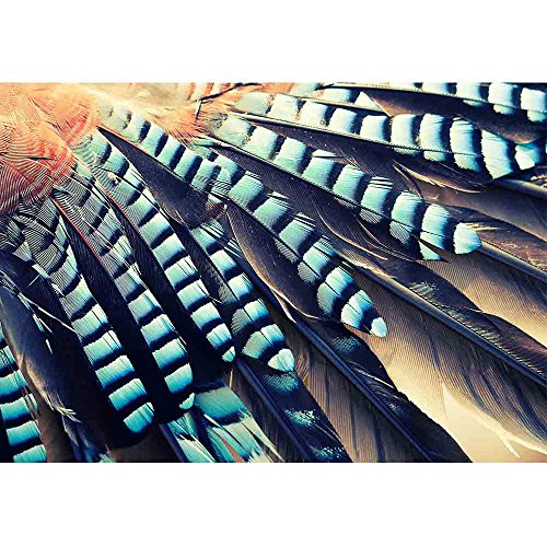 wall26 - Wing of Jay (Garrulus Glandarius) Close Up - Removable Wall Mural | Self-Adhesive Large Wallpaper - 66x96 inches - color: Artwork - 10, size: 66"x96"