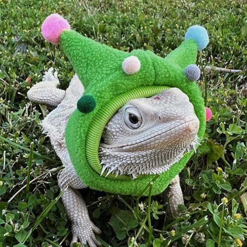 Reptile Outdoor Walking Costume - Adjustable Funny Horn Ball Hat & Scarf Set, Pet Outdoor Walking Funny Outfit for Small Pets Lizard Gecko Chameleon Amphibians Ferret Hamster-Green - color: Hat&Scarf-Green